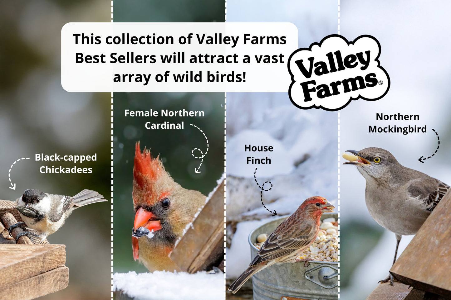 Valley Farms Premium Bird Lover Gift Bundle Wild Bird Food (Pack of 4)