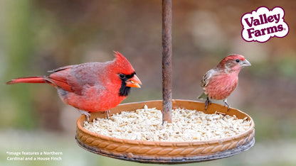 Valley Farms Sunflower Hearts Wild Bird Food