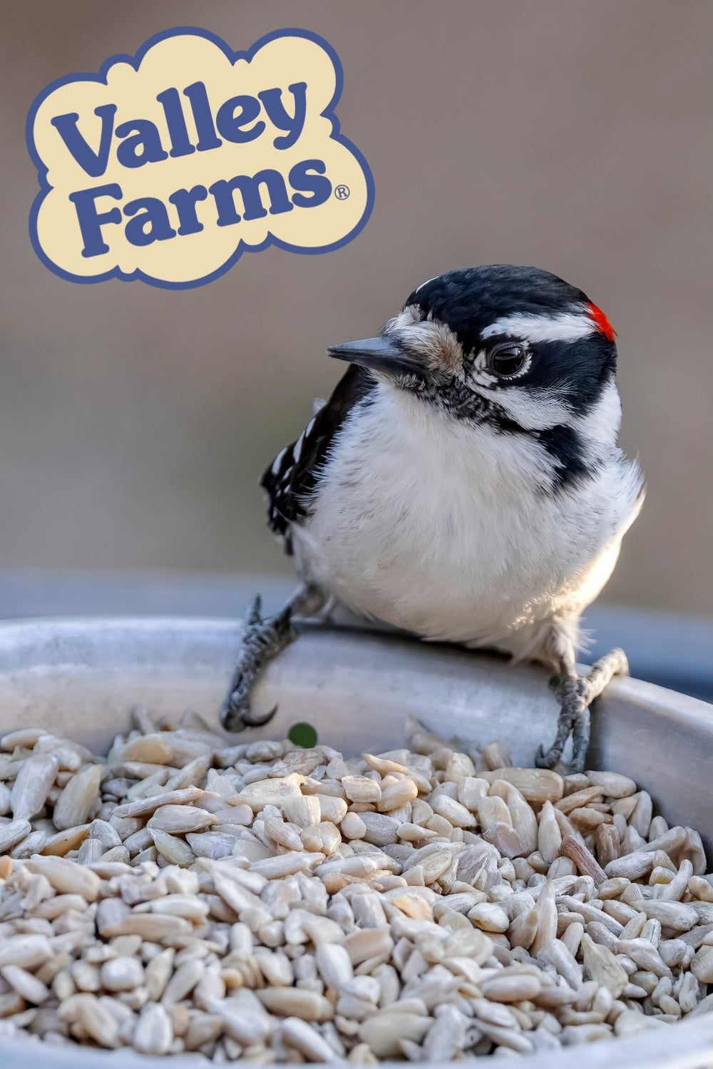 Valley Farms Sunflower Hearts Wild Bird Food