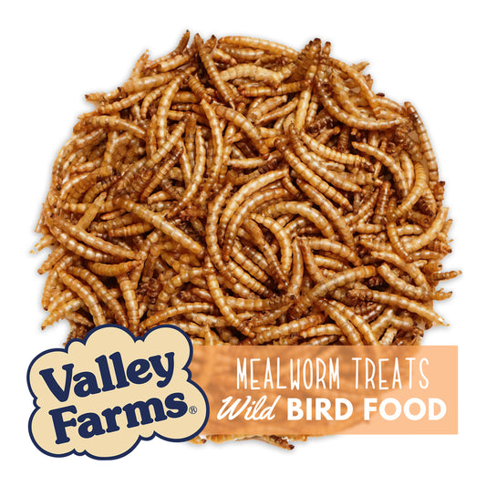 Valley Farms All-Natural Dried Mealworms