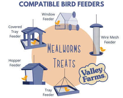 A compatible bird feeder chart that has tray feeders, window feeders, hopper feeders, and mesh feeders