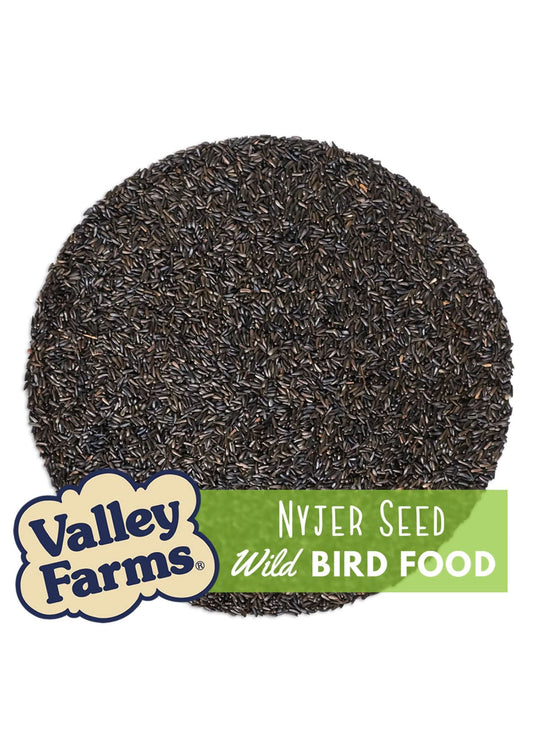 Valley Farms Nyjer Seed Wild Bird Food