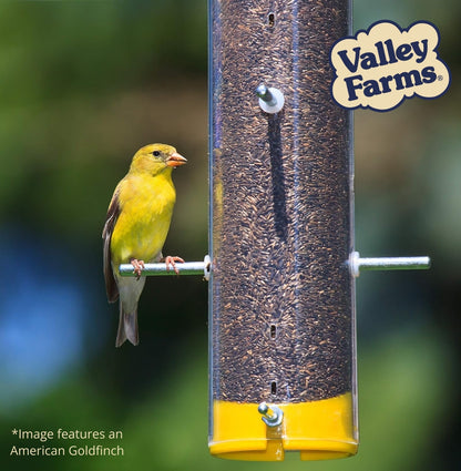 Valley Farms Nyjer Seed Wild Bird Food