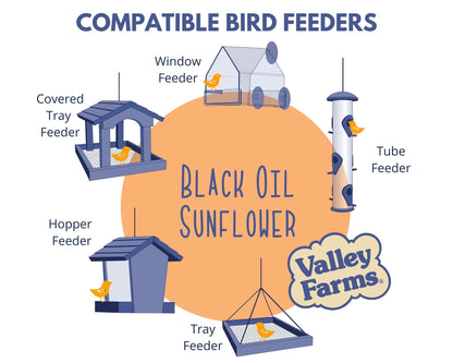 Valley Farms Black Oil Sunflower Seed Wild Bird Food