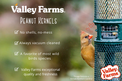 Valley Farms Peanut Kernels Wild Bird Food