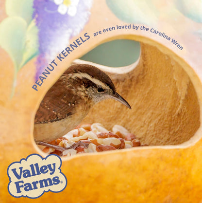 Valley Farms Peanut Kernels Wild Bird Food