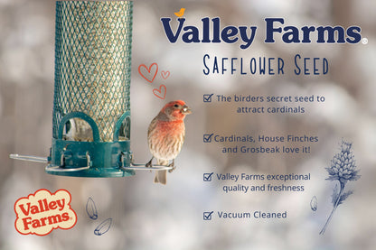 Valley Farms Safflower Seed Wild Bird Food