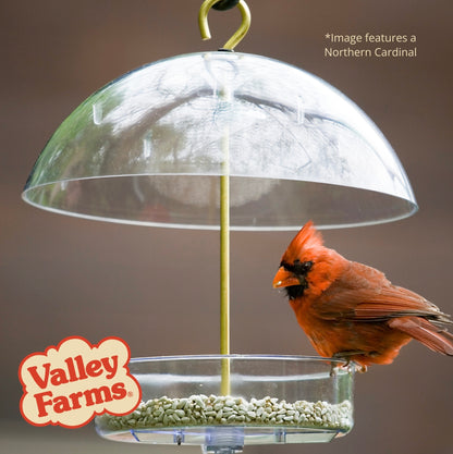 Valley Farms Safflower Seed Wild Bird Food