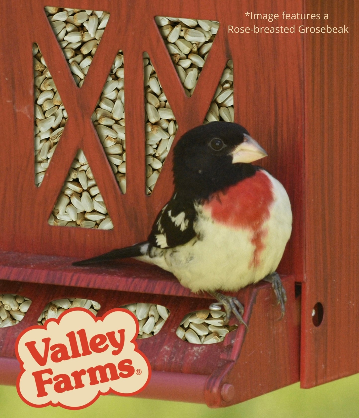 Valley Farms Safflower Seed Wild Bird Food