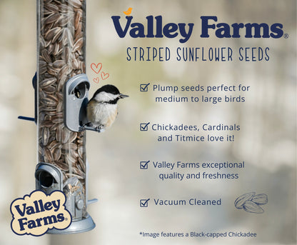 Valley Farms Striped Sunflower Seed Wild Bird Food