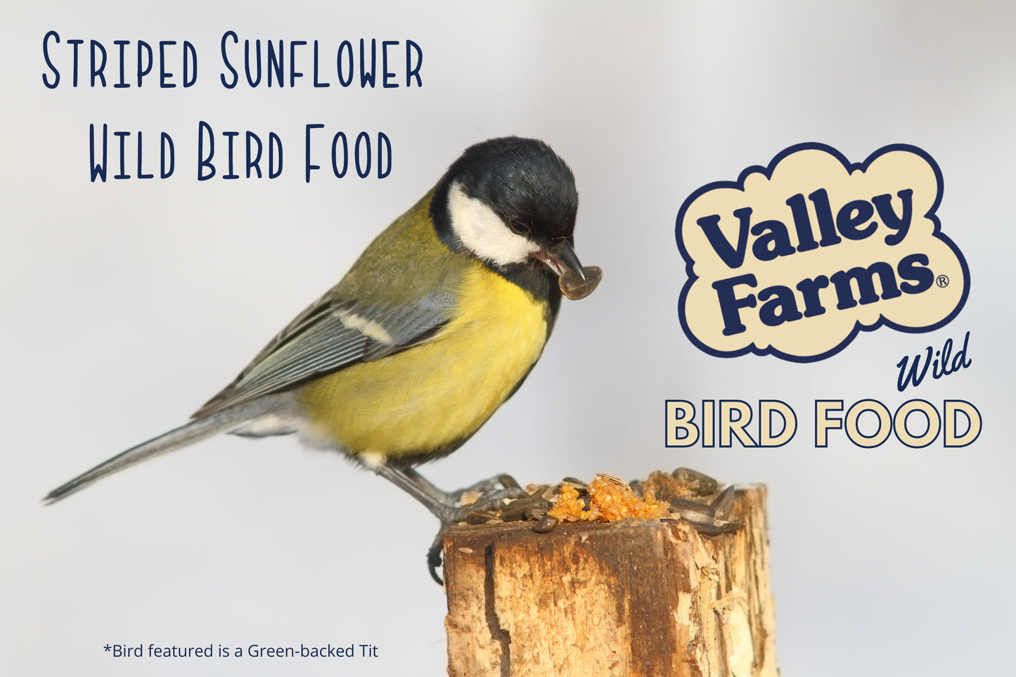 Valley Farms Striped Sunflower Seed Wild Bird Food