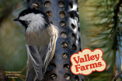 Valley Farms Striped Sunflower Seed Wild Bird Food