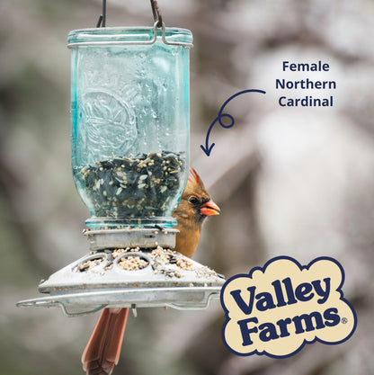 Valley Farms Super Deluxe Wild Bird Food