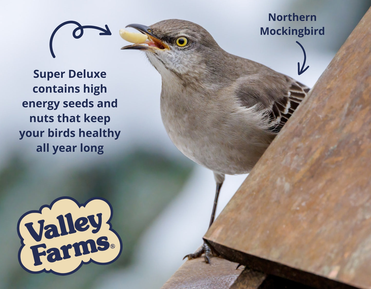 Valley Farms Super Deluxe Wild Bird Food