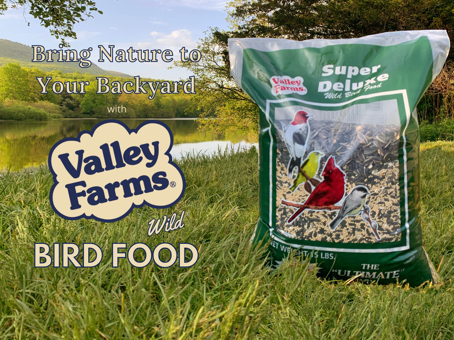 Valley Farms Super Deluxe Wild Bird Food