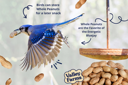 Valley Farms Whole Peanuts Wild Bird Food