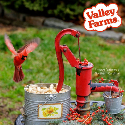 Valley Farms Whole Peanuts Wild Bird Food