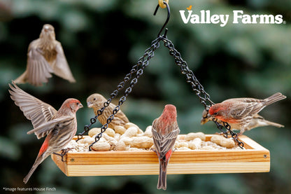 Valley Farms Whole Peanuts Wild Bird Food