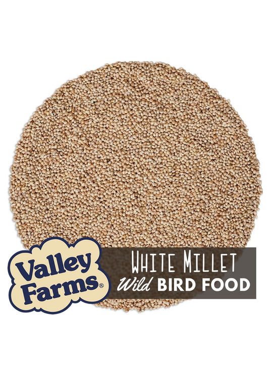 Valley Farms White Millet Wild Bird Food