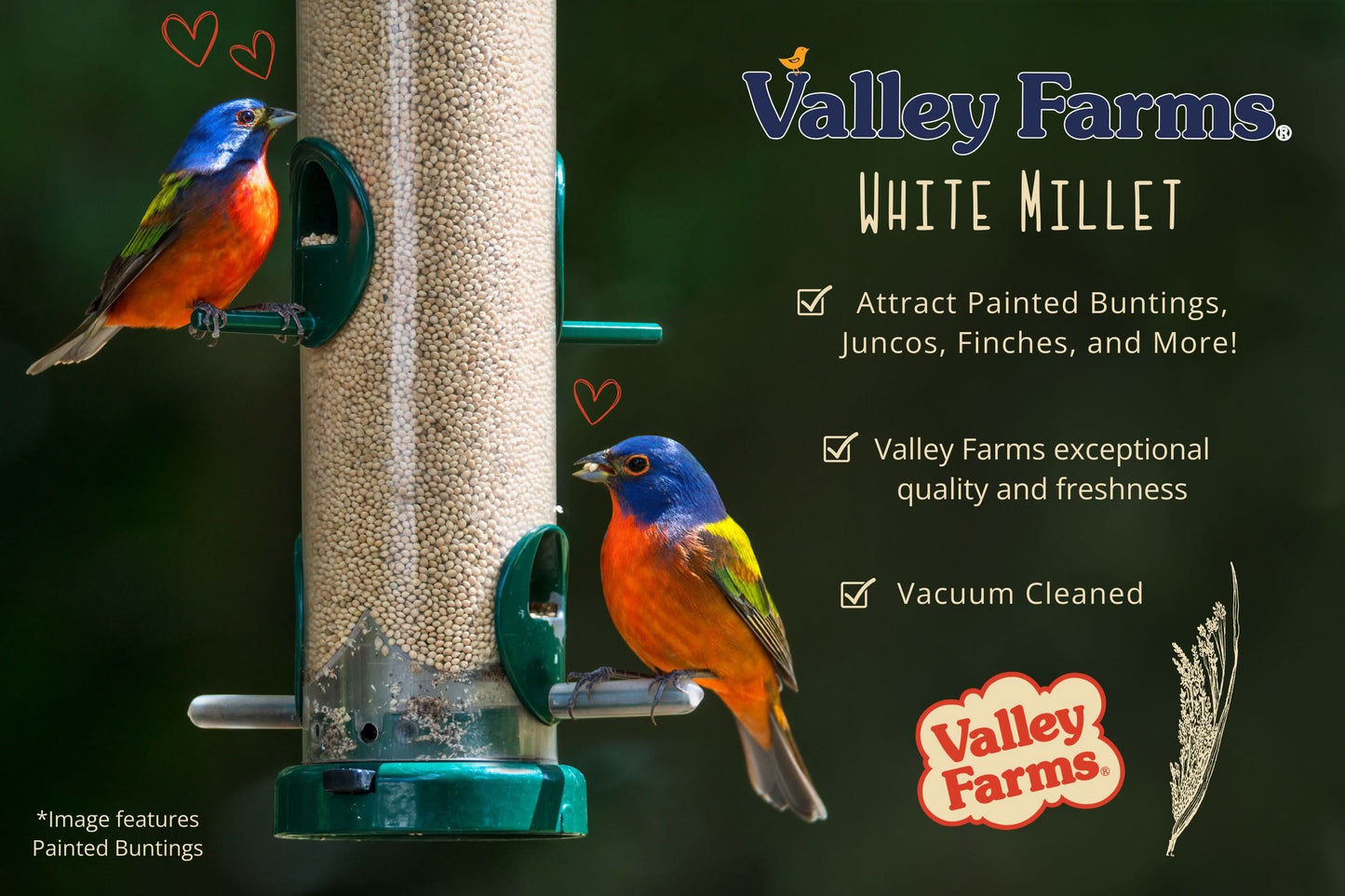 Valley Farms White Millet Wild Bird Food