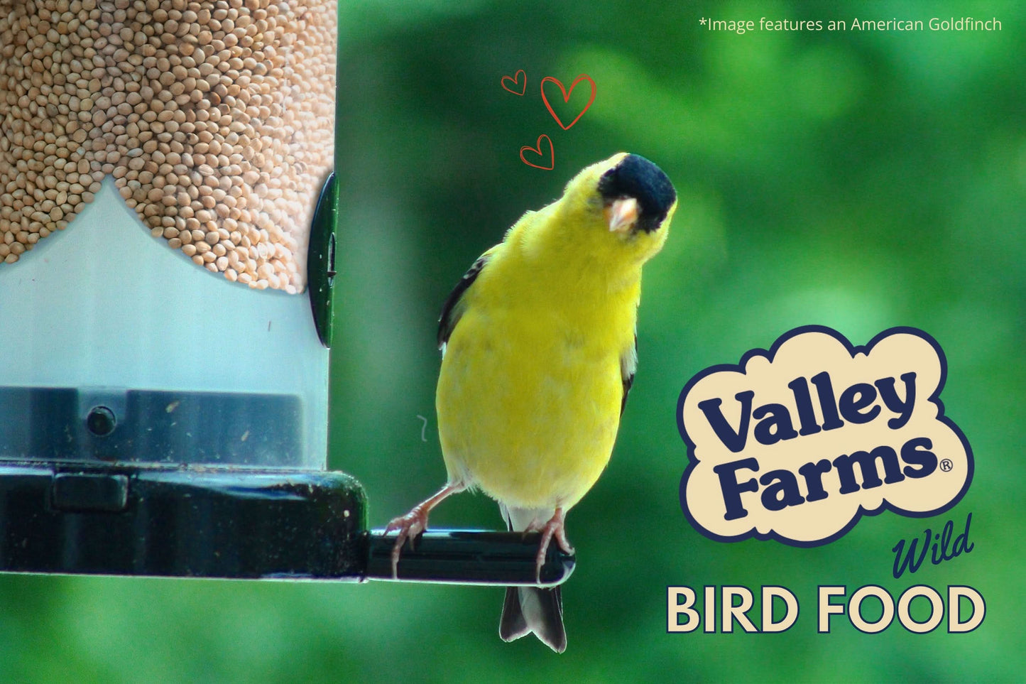 Valley Farms White Millet Wild Bird Food