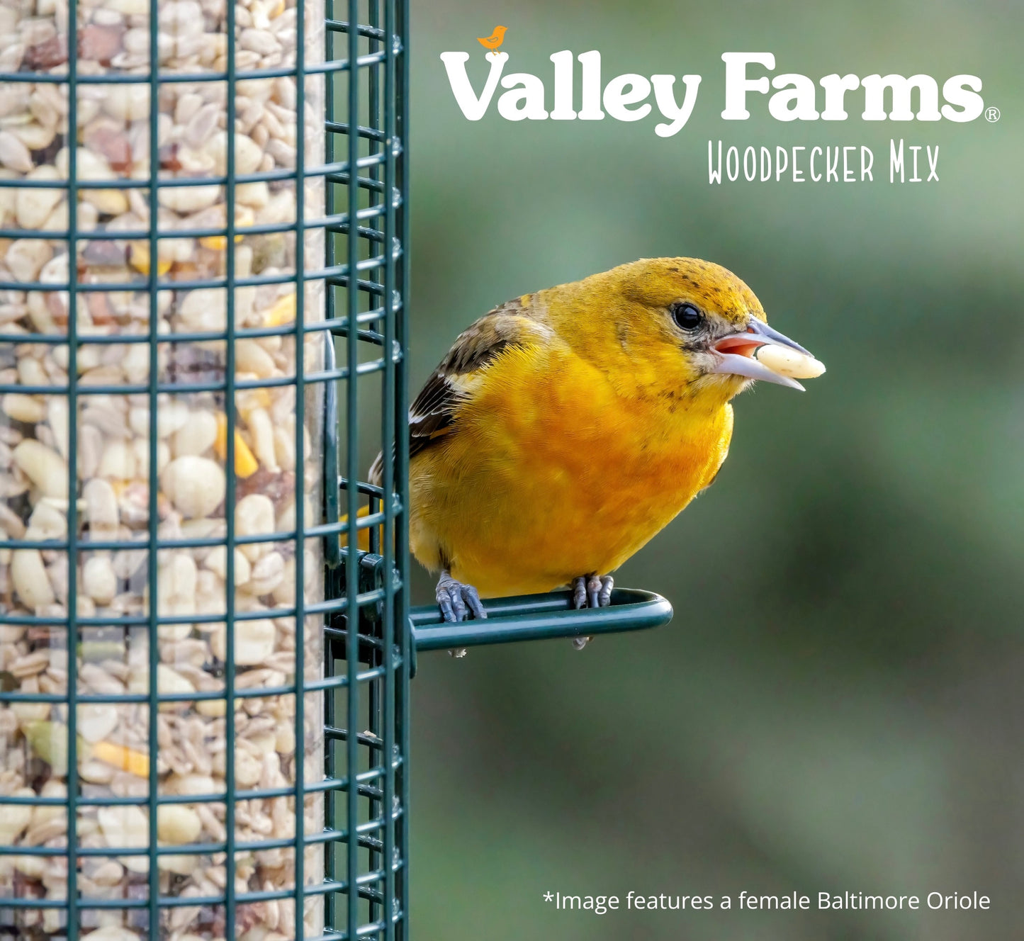 Valley Farms Woodpecker Mix Wild Bird Food with Sunflower Hearts!