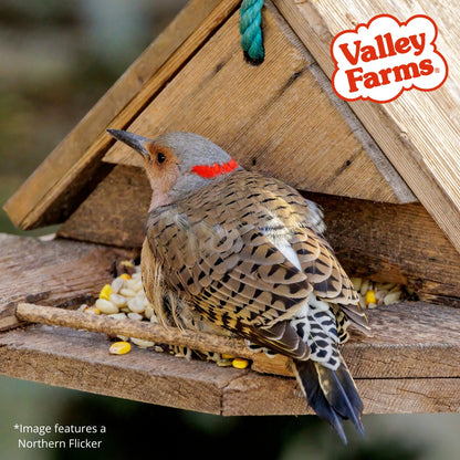 Valley Farms Woodpecker Mix Wild Bird Food with Sunflower Hearts!