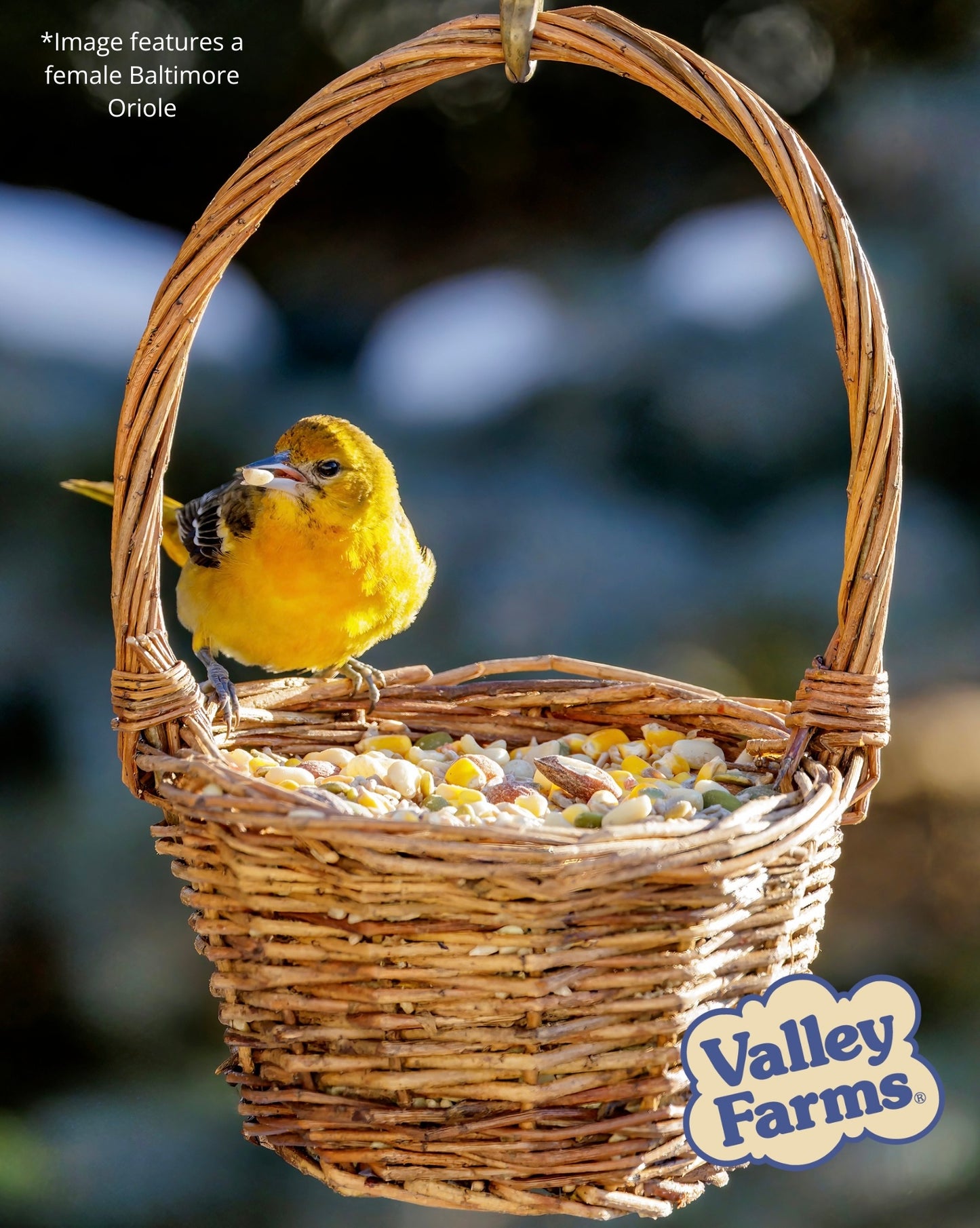 Valley Farms Woodpecker Mix Wild Bird Food with Sunflower Hearts!