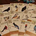 Wingspan Bird-Collection Board Game- A Great Gift!