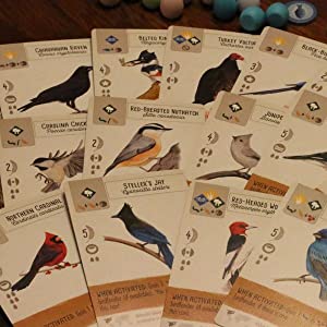 Wingspan Bird-Collection Board Game- A Great Gift!