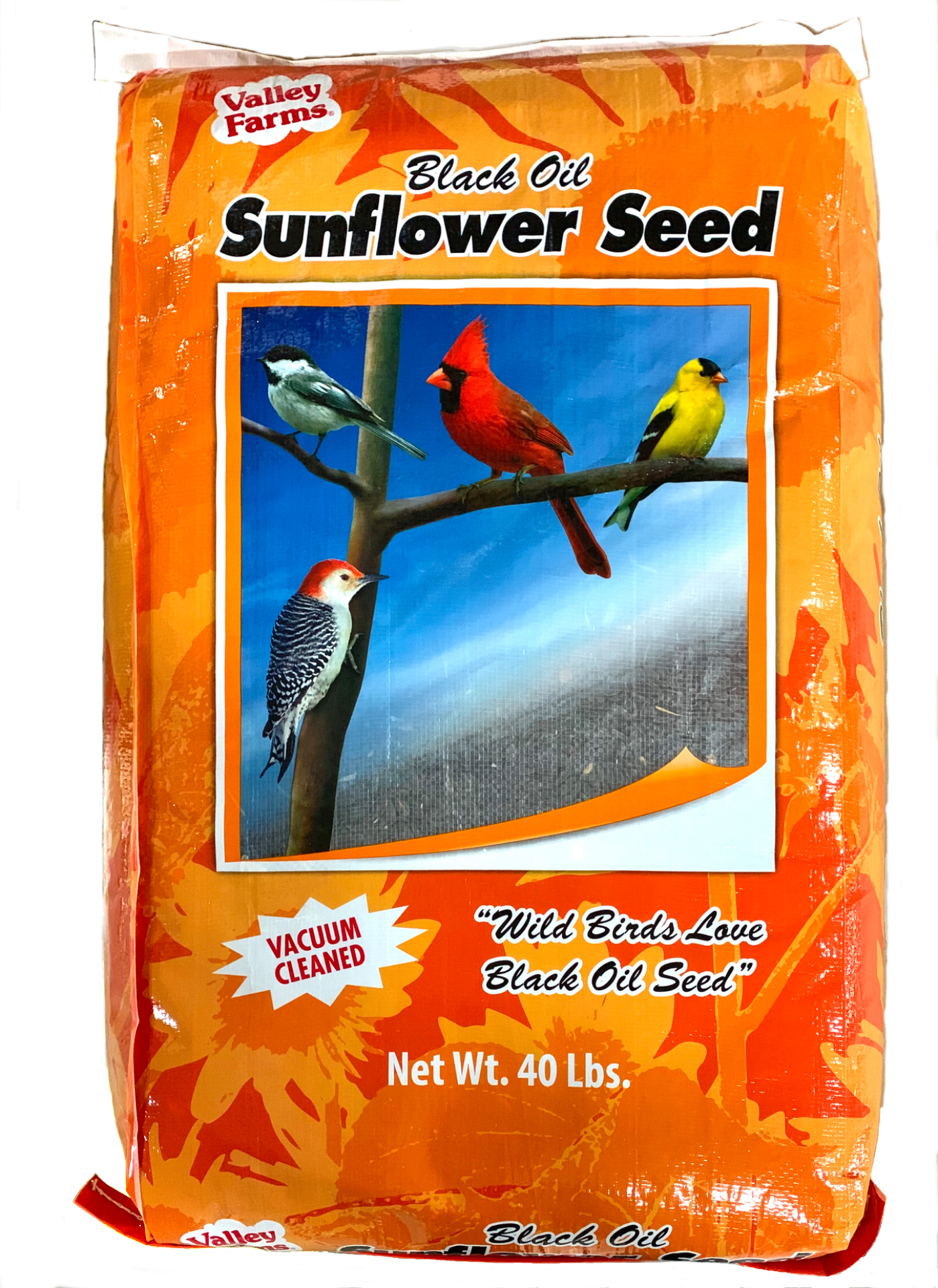 Tractor supply 2024 safflower seed