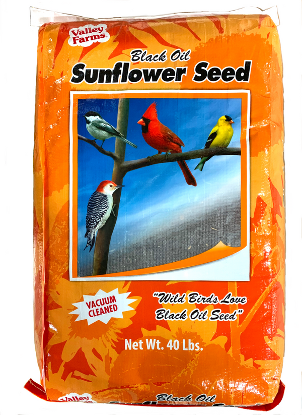 Black Oil Sunflower Seeds vs. Striped Sunflower Seeds (2024