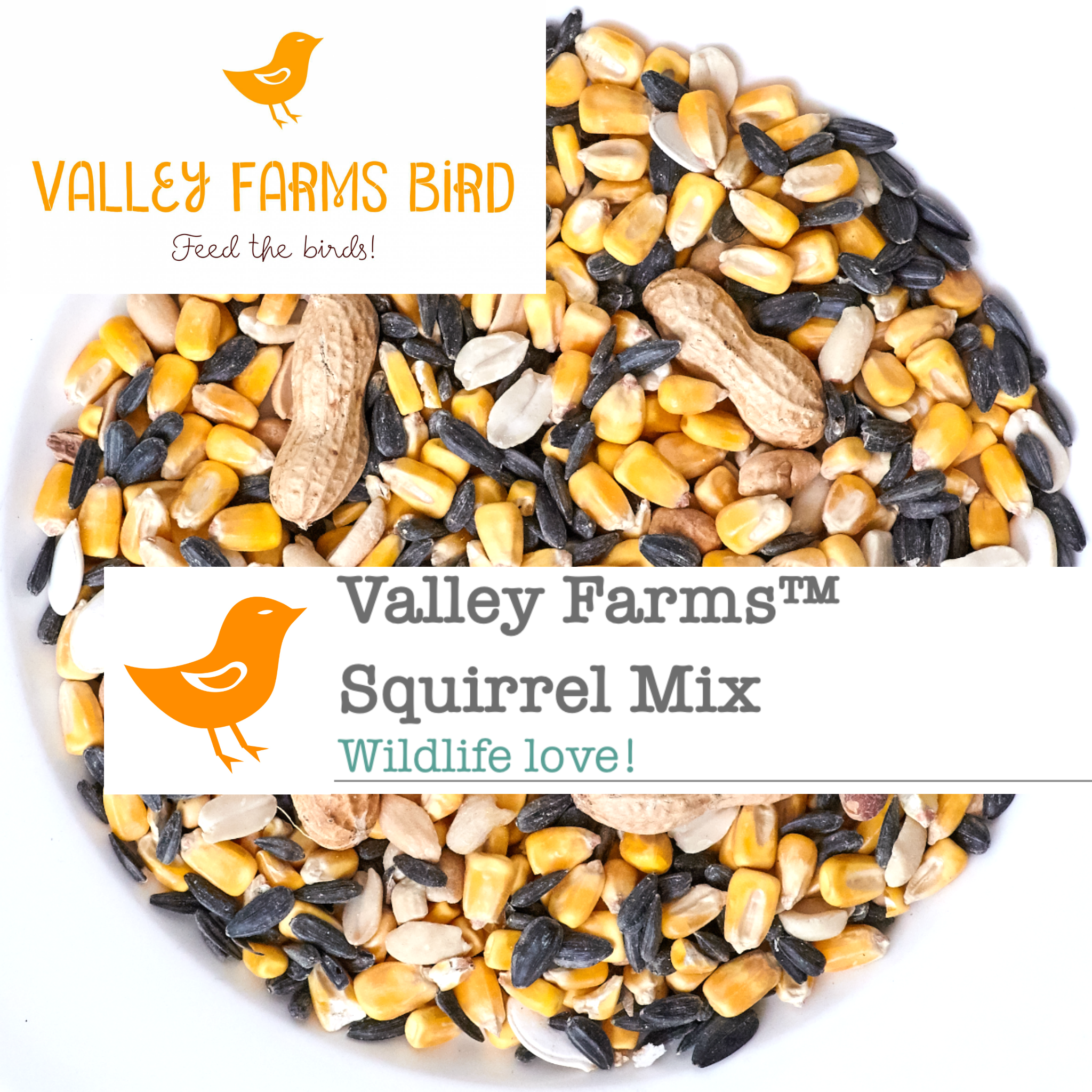 Ivel Valley Wild Bird Food  10 Fun Facts About Robins - Ivel