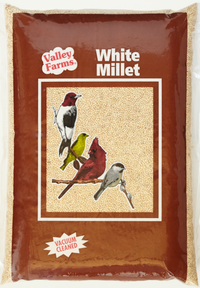 Valley Farms White Millet Wild Bird Food