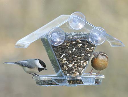 Window Café Bird Feeder by ASPECTS