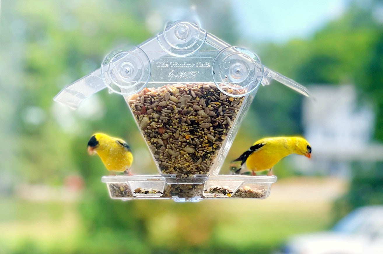 Aspects Window Cafe Bird Feeder - Wild Birds Up Close! – Valley Farms Shop